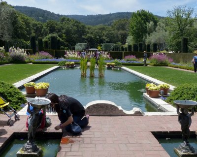Filoli Pond.jpg