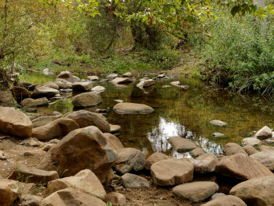 Elfin Forest - 5