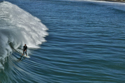 Surf's Up!