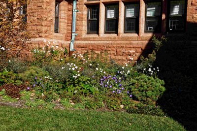 Church Grounds