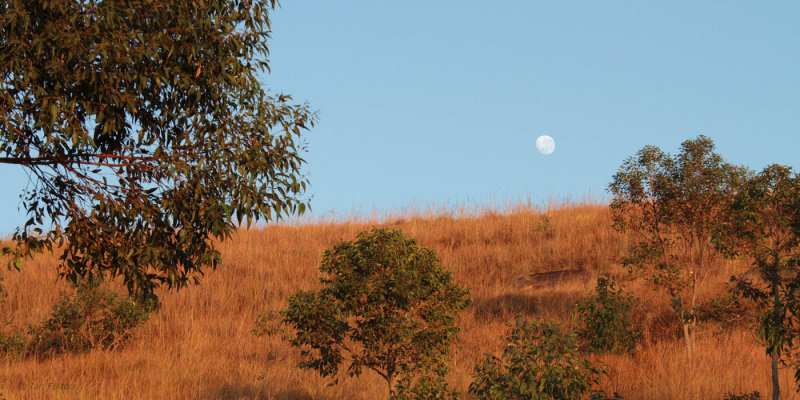 Sunrise and moonset between Antsirabe and Morondava