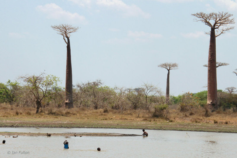 Children playing and fishing
