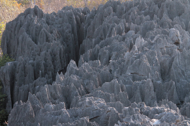 View of the limestone karst at Great Tsingy