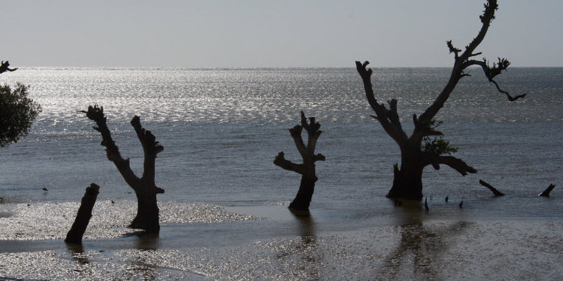 The ocean near Ifaty