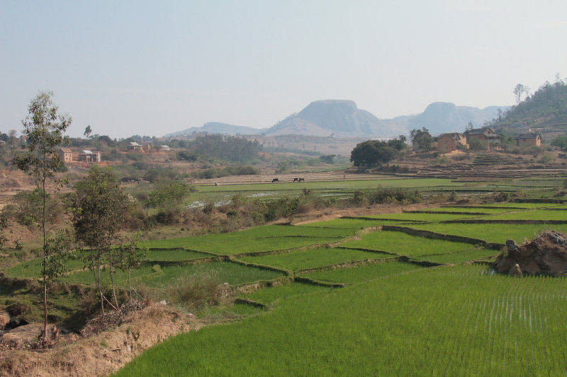 Roadside view near Fianarantsoa