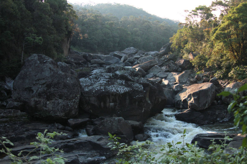 River near Ranomafana