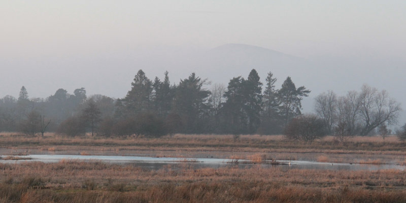 Misty view over Wards Pond towards the Glen Luss hills