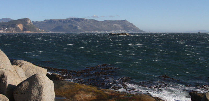 False Bay from Boulders Beach