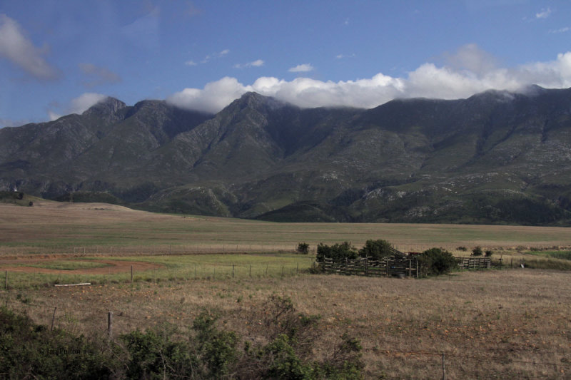 Roadside view between Swellendam and Mossel Bay
