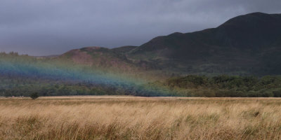 Rainbow over the Crom Mhin marsh, Conic Hill behind, Loch Lomond NNR