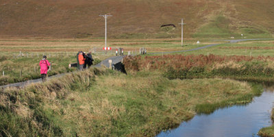 Birding at the stream at Burrafirth, Unst, Shetland