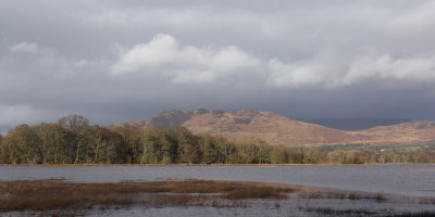 Conic Hill and a flooded Wards Pond, Loch Lomond NNR