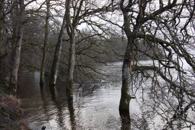 Winter floods at Ross Park, west Loch Lomond