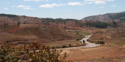 Roadside view in highlands between Tana and Antsirabe