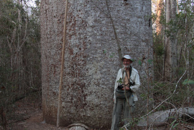 Oz demonstrating the size of the baobab