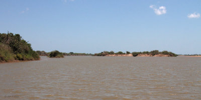 View from the ferry of the River Tsiribihina