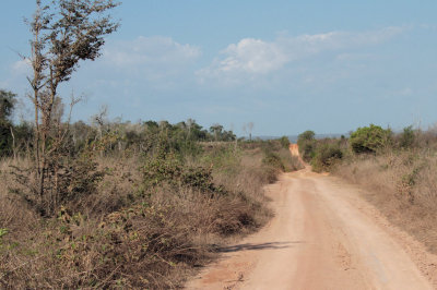 The long and dusty road towards Tsingy de Bemaraha