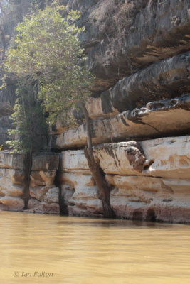 The limestone cliffs of the Manambolo Gorge