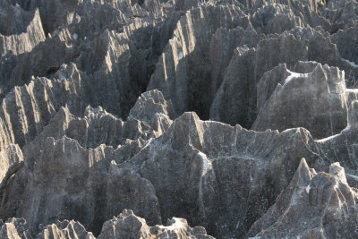 View of the limestone karst at Great Tsingy