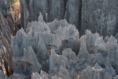 View of the limestone karst at Great Tsingy