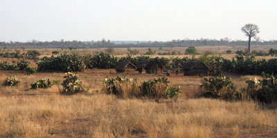 Roadside view between Toliar and Zombitse