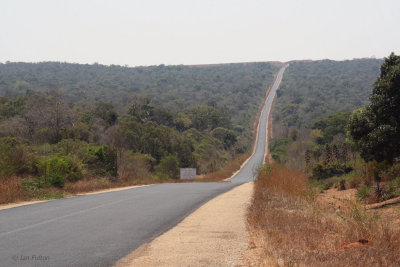 The long road heading north at Zombitse NP