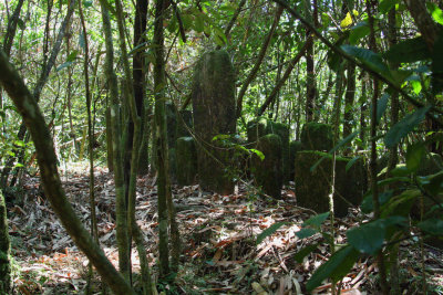An old graveyard high in the hills in Ranomafana NP
