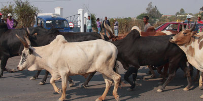 Street scenes in Fianarantsoa