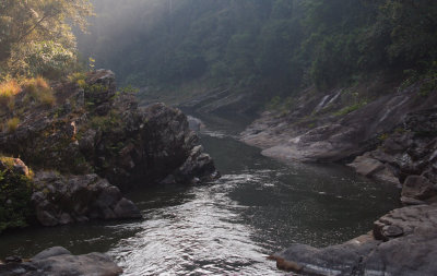River in Ranomafana NP