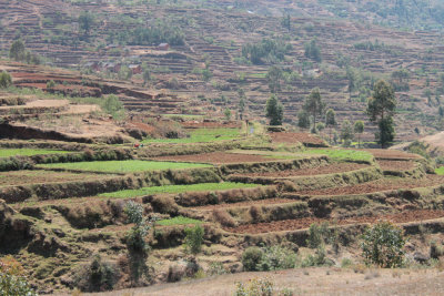 Terraced paddy fields near Antsirabe