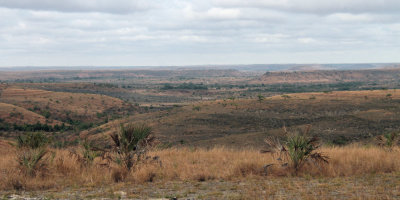 The grass uplands between Mahajanga and Ankarafantsika