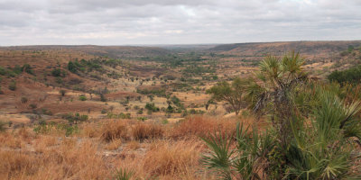 The grass uplands between Mahajanga and Ankarafantsika