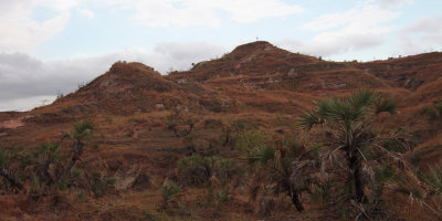 The grass uplands between Mahajanga and Ankarafantsika