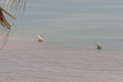 Boats on the Betsiboka Estuary