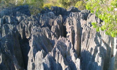 View of the limestone karst at Little Tsingy