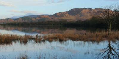Sunrise at Ring Point with Conic Hill behind, Loch Lomond