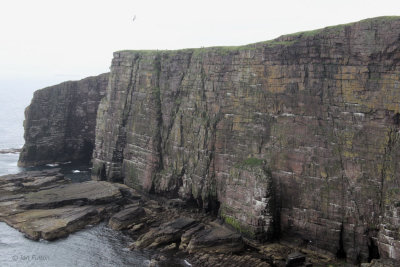 The sea cliffs on Handa Island