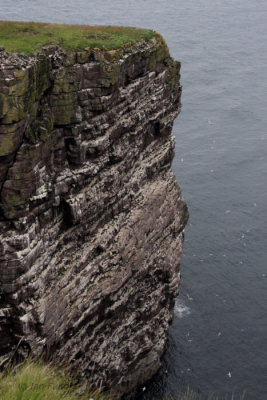 The sea cliffs on Handa Island