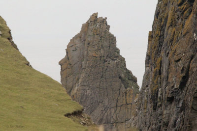 Cliff formation known as Queen Victoria, Fair Isle