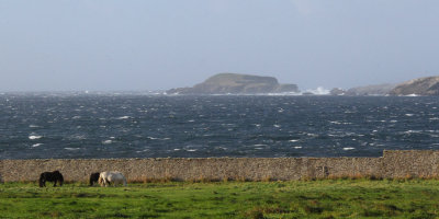 West Voe of Sumburgh, Shetland