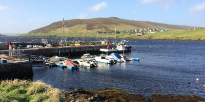 The pier and marina at Voe, Shetland