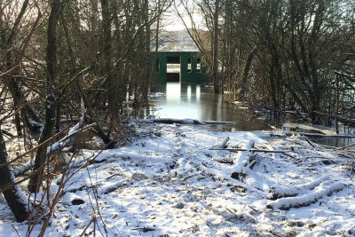 Flood at the Causeway hide at RSPB Baron's Haugh