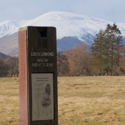 Information board for Loch Lomond NNR at Woodend