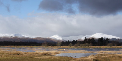 Wards Pond and the west Loch Lomond hills