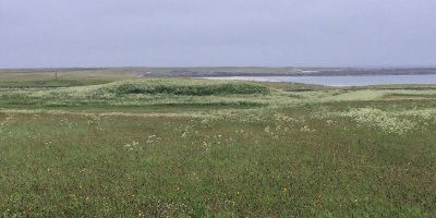 View of Oronsay 