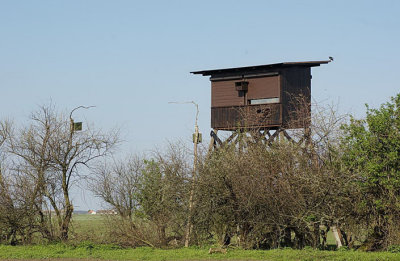 The Red-footed Falcon tower hide