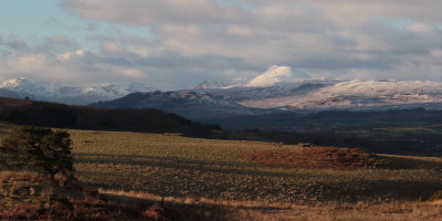 Ben Lomond and the Arrochar Hills from near Carbeth