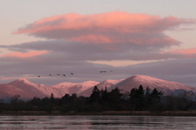 Sunrise at Wards Pond, RSPB Loch Lomond