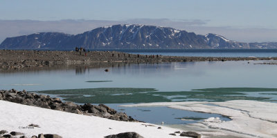 The lagoon on Amsterdamya, Svalbard
