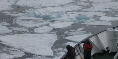 In the pack ice north of Svalbard